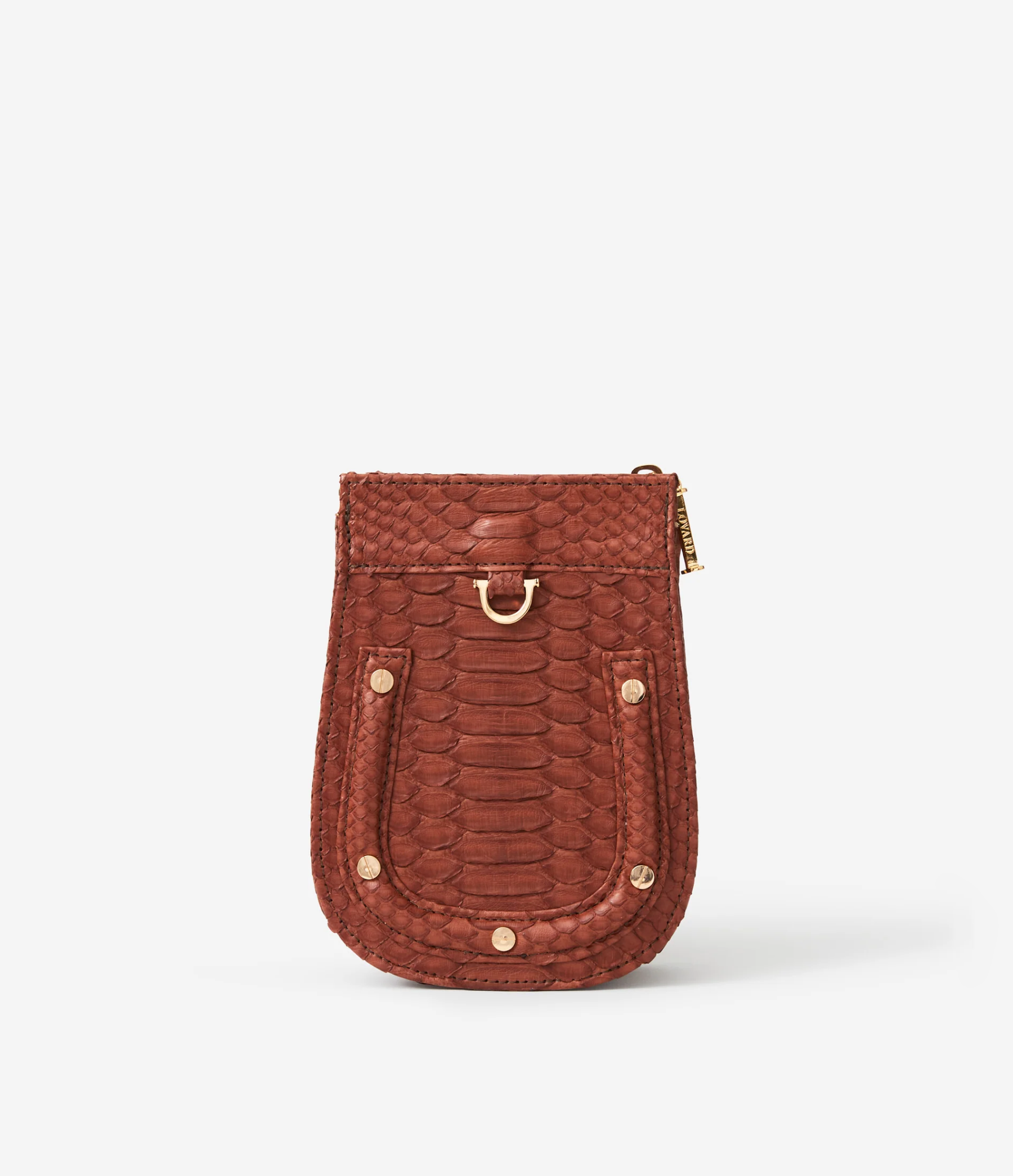 Chocolate Python / Gold