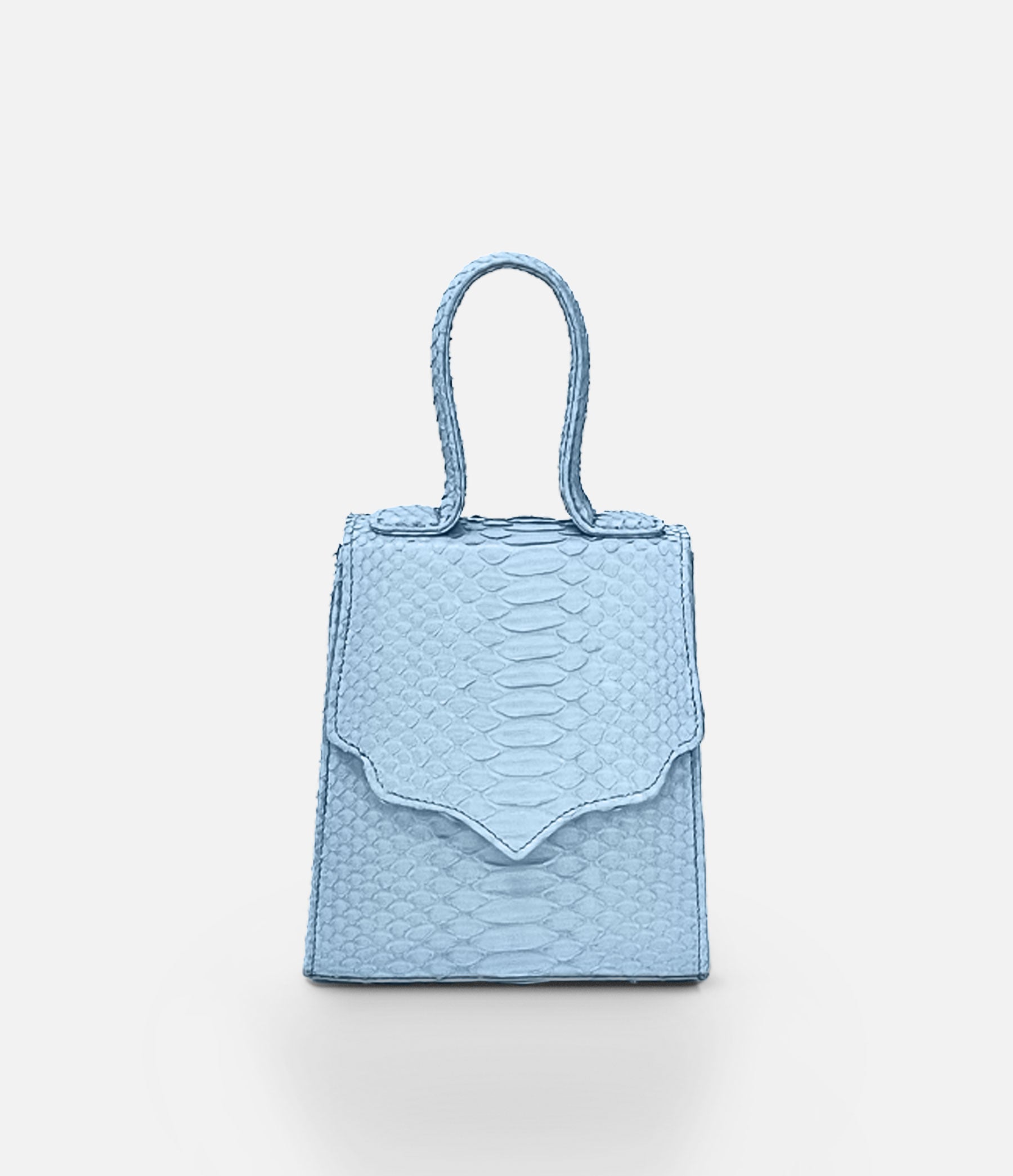 The Mini Missy in Ice Blue Python with Gold Hardware