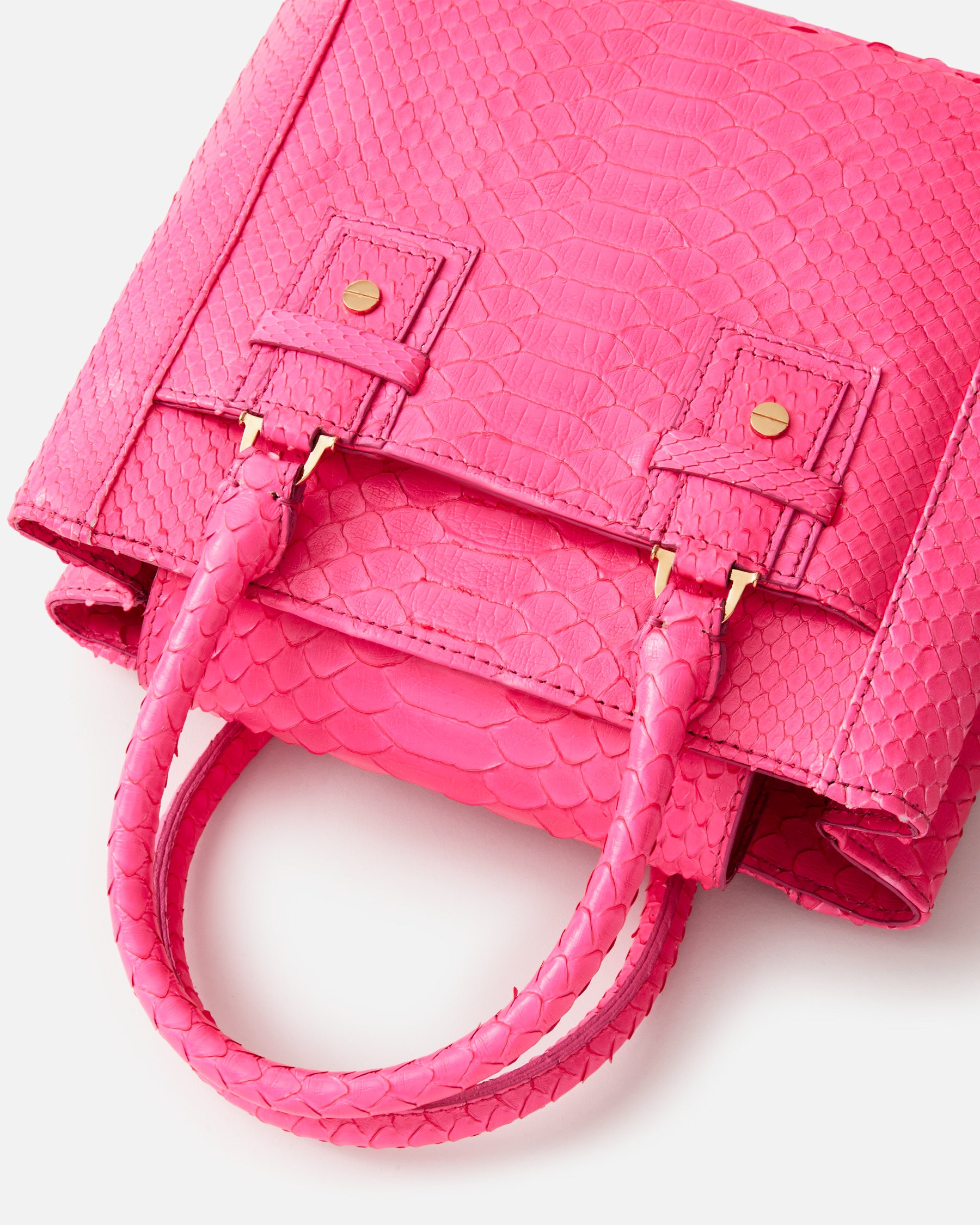 Pink Neon Python / Gold