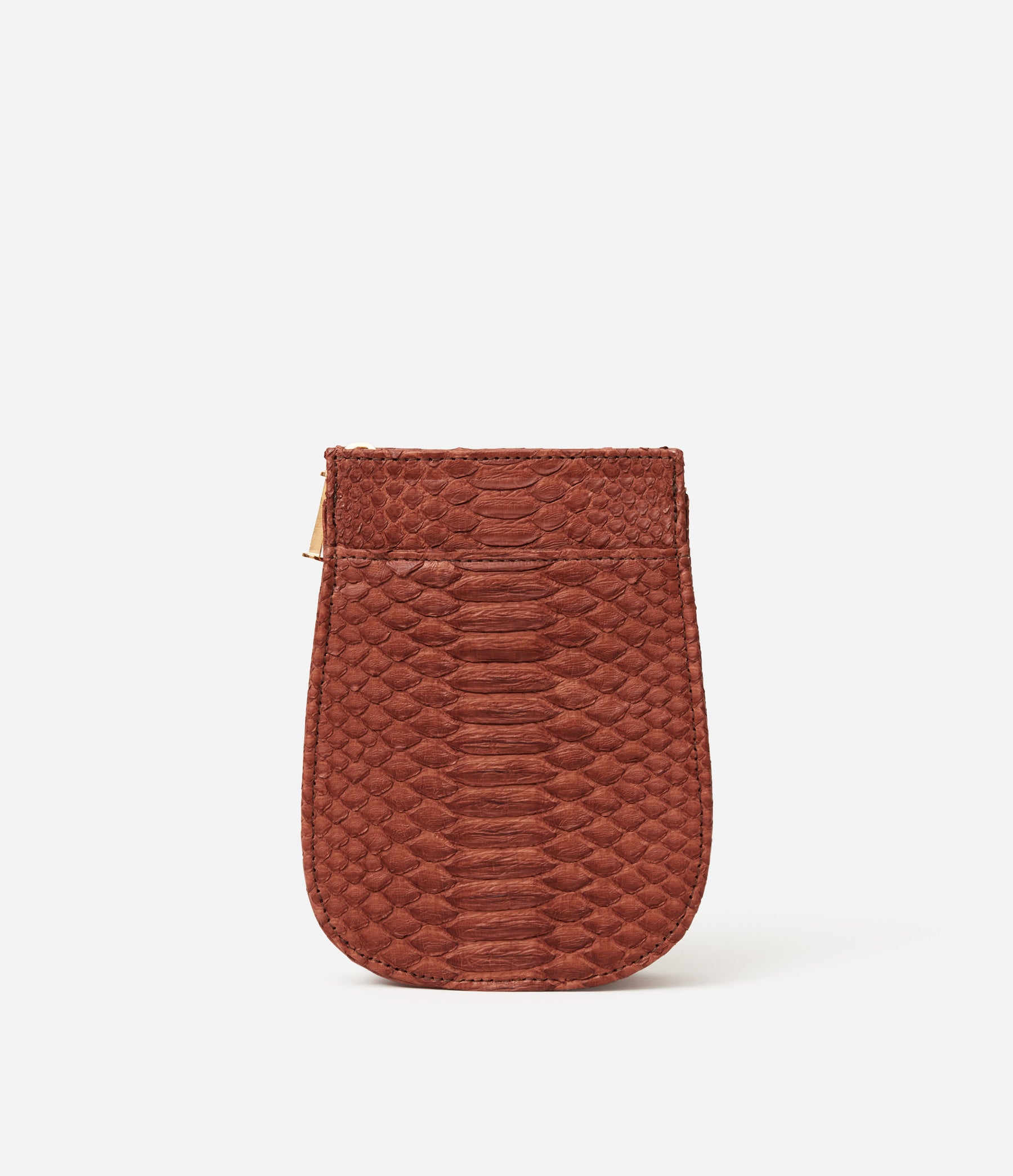 Chocolate Python / Gold