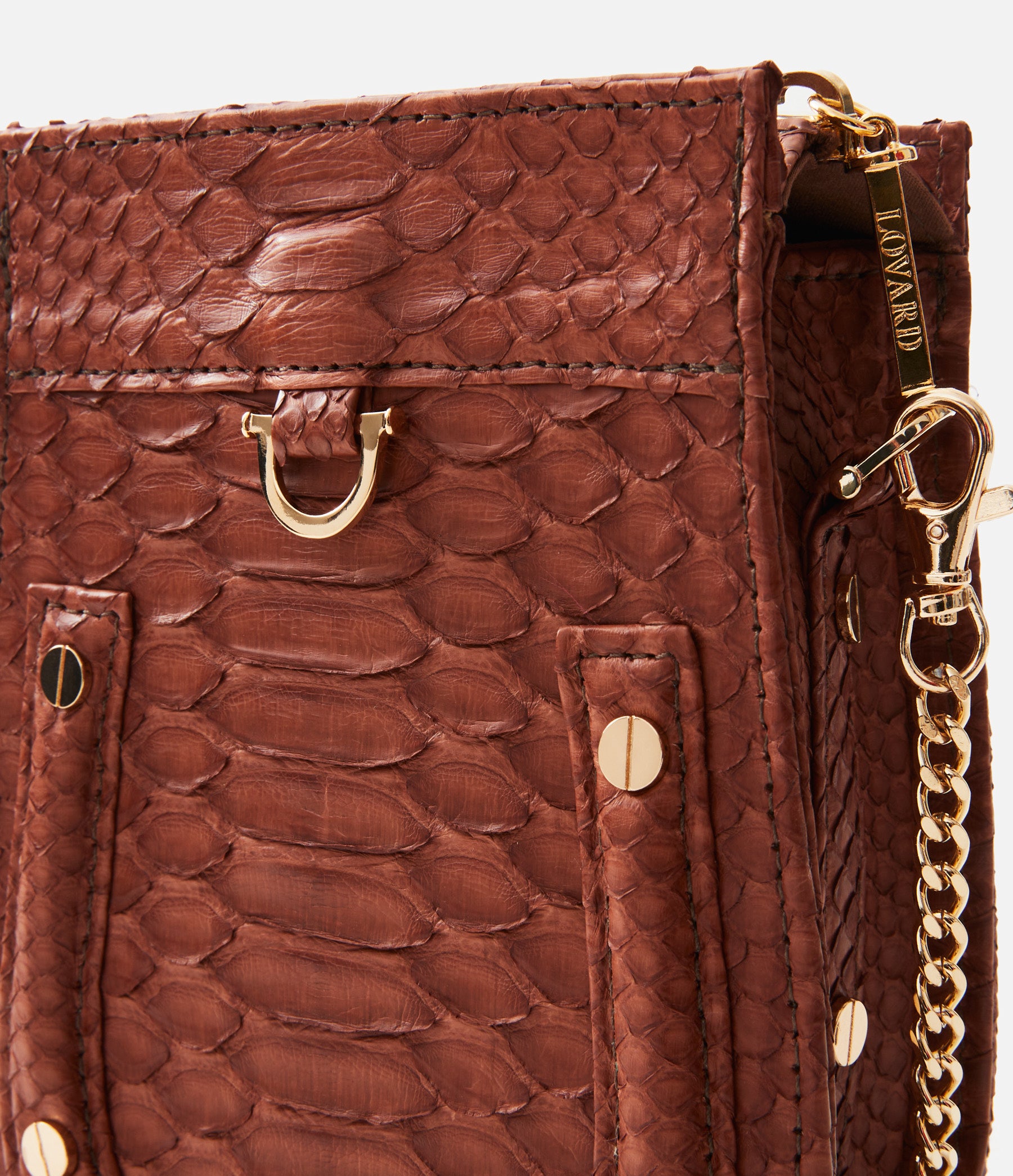 Chocolate Python / Gold