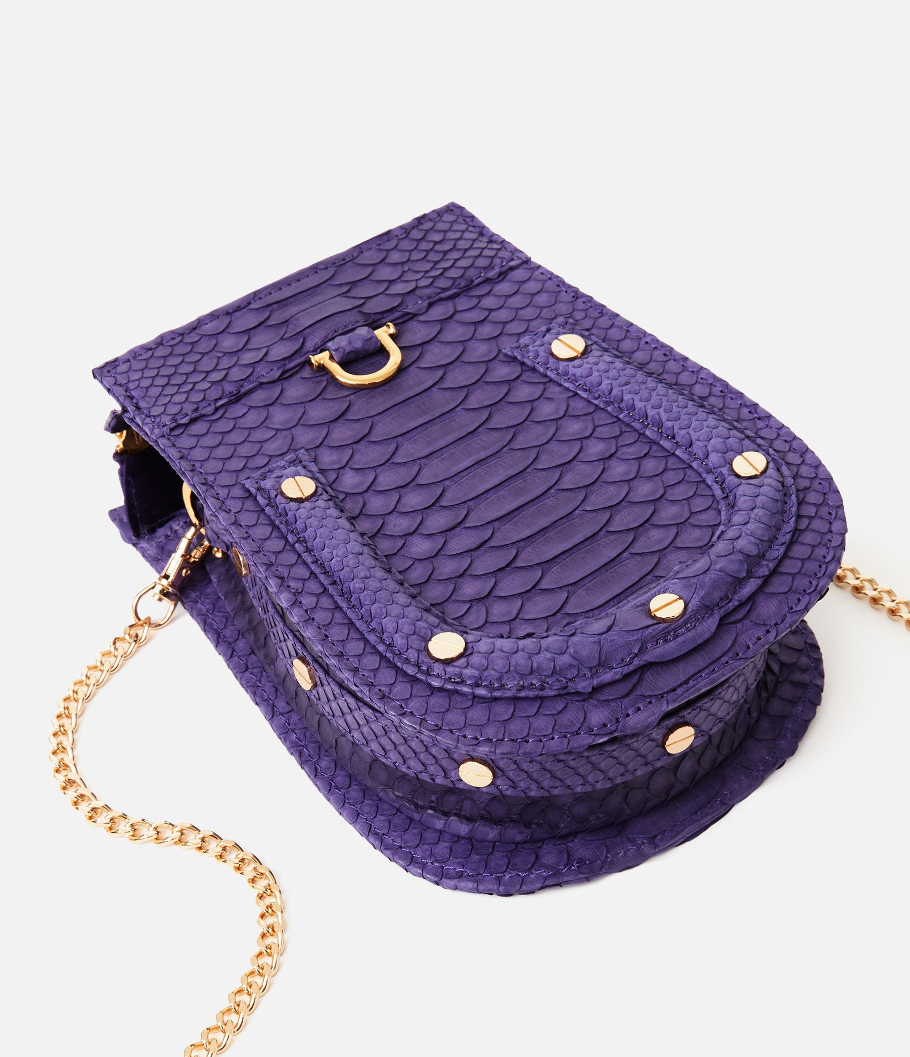 Eggplant Python / Gold