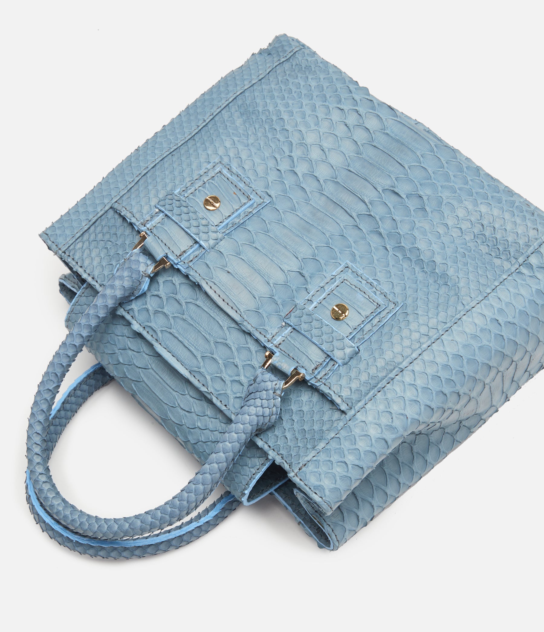 Cornflower Blue Python / Gold