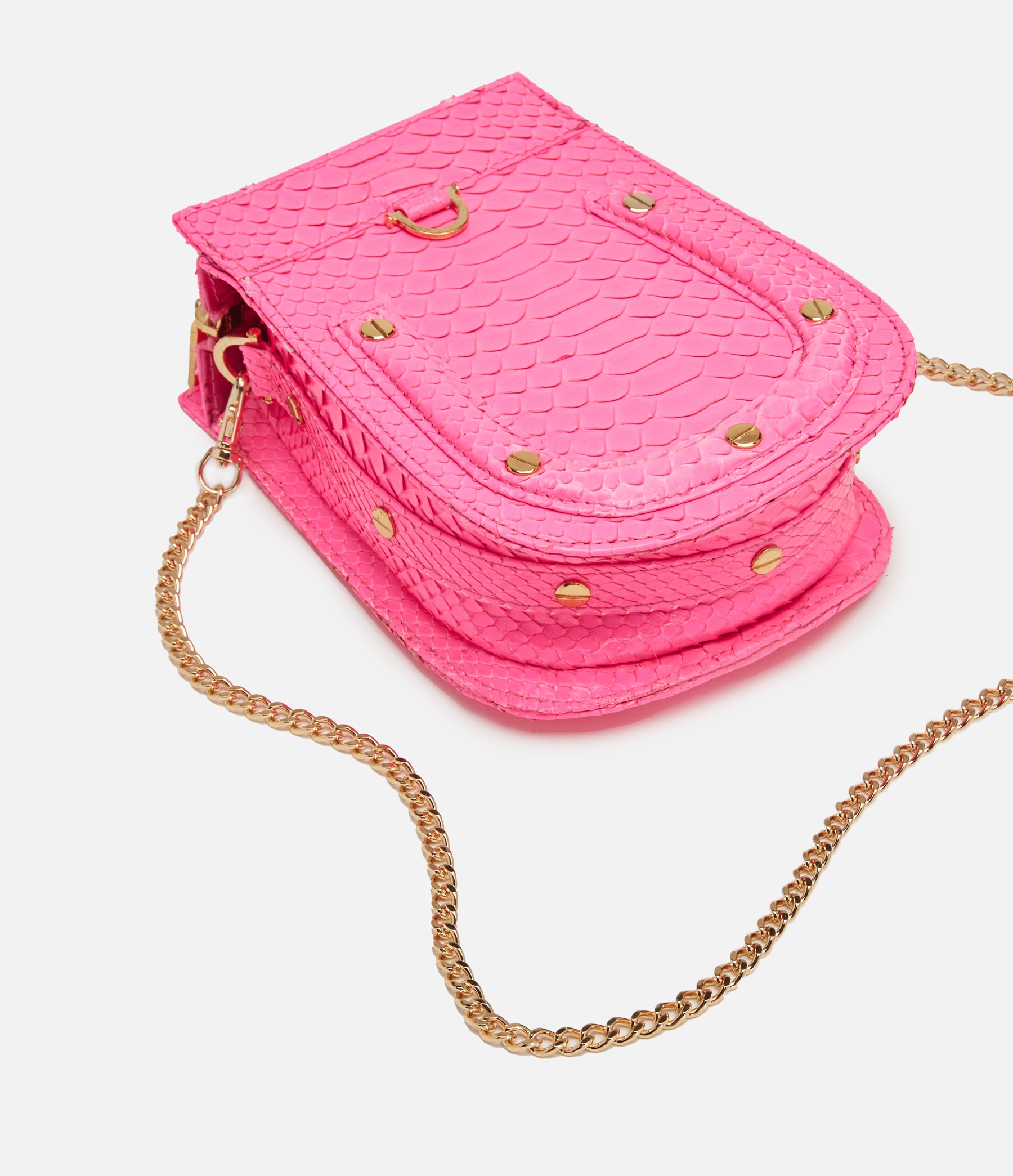 Pink Neon Python / Gold