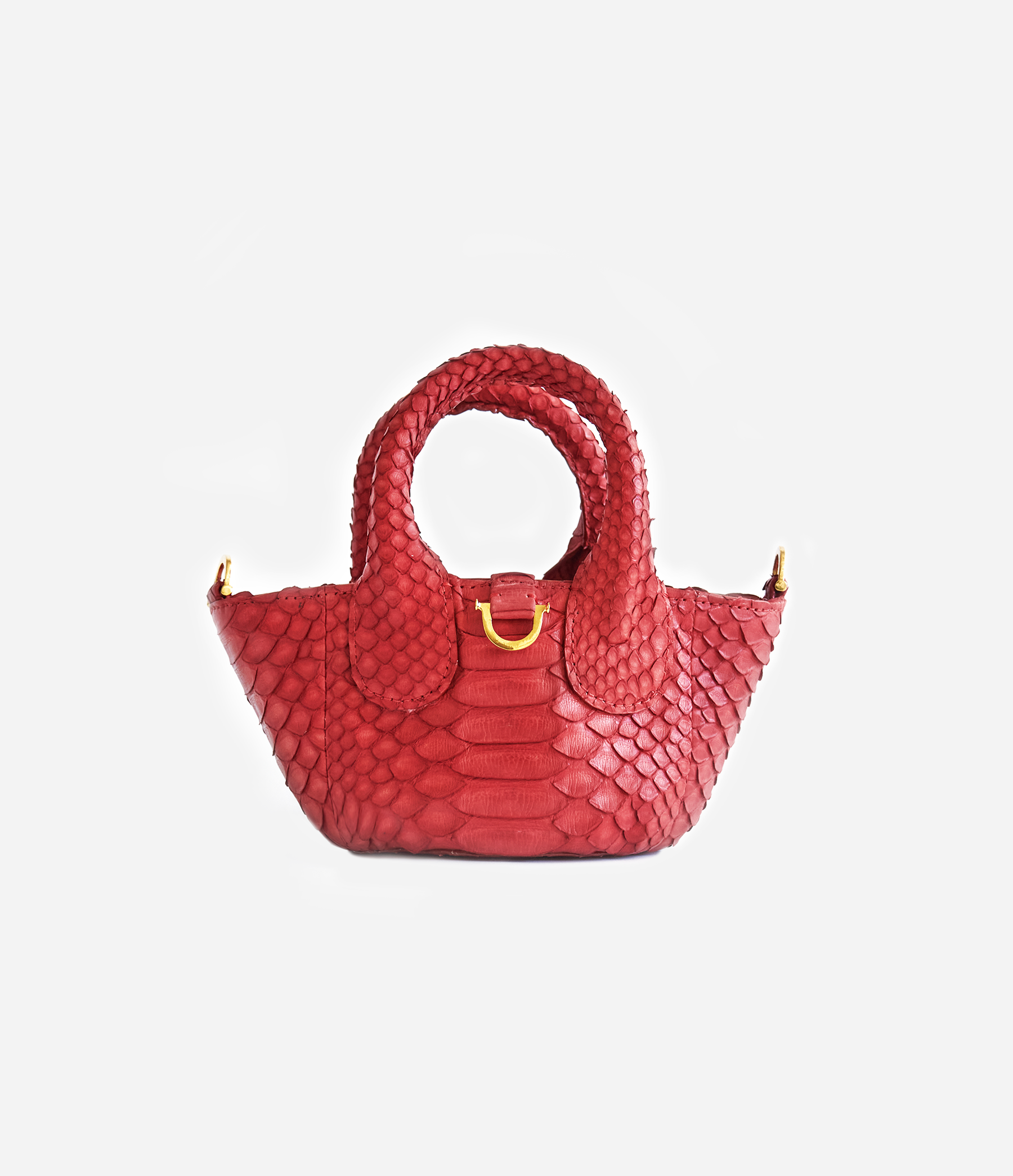 Dahlia Red Python / Gold