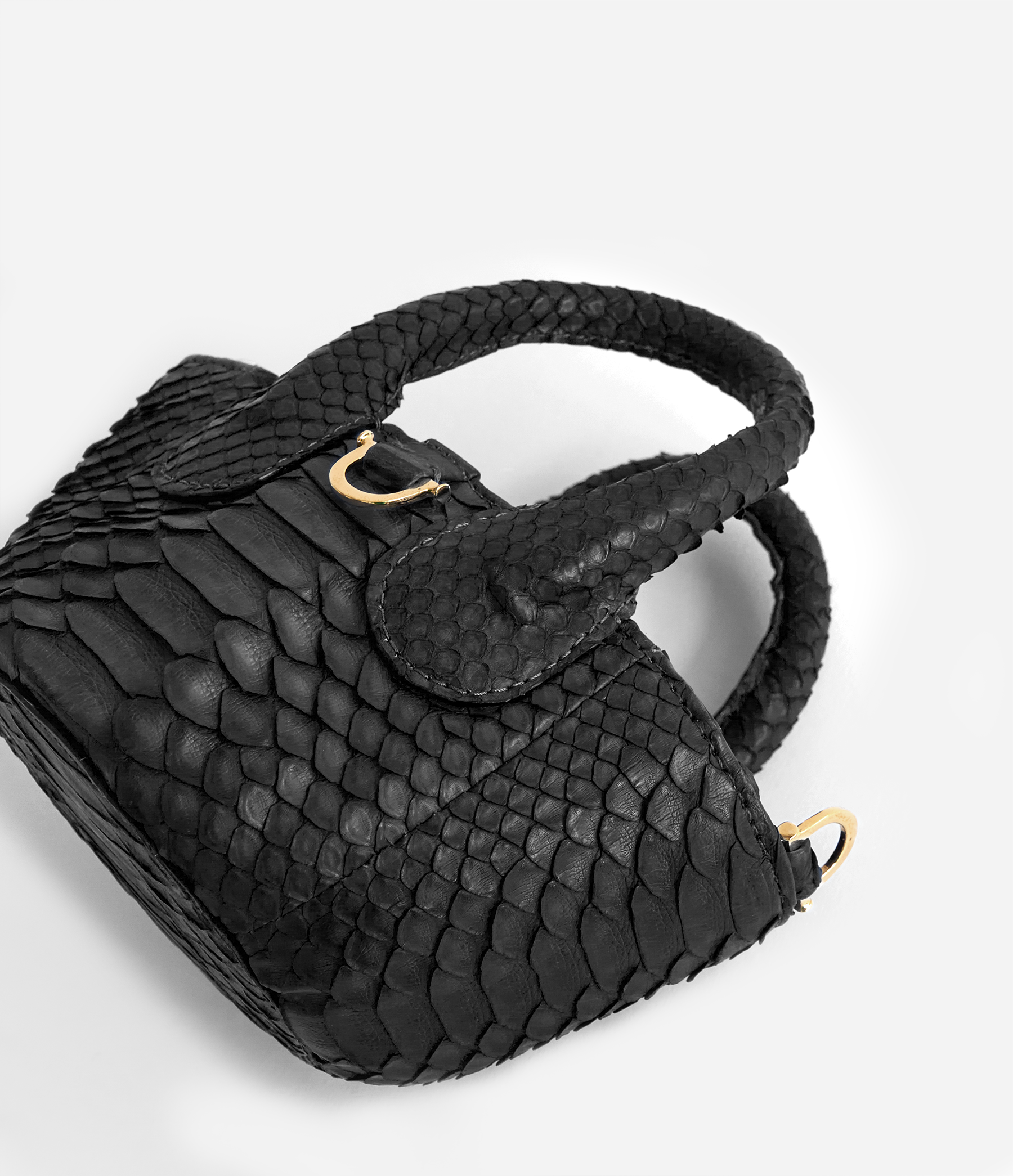 Black Python / Gold