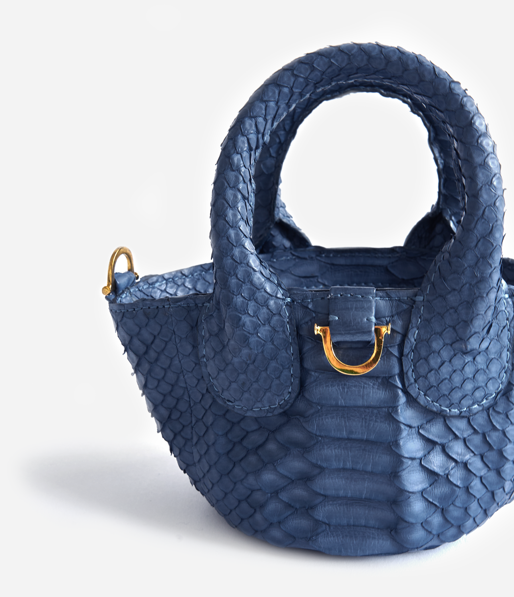 Midnight Python / Gold