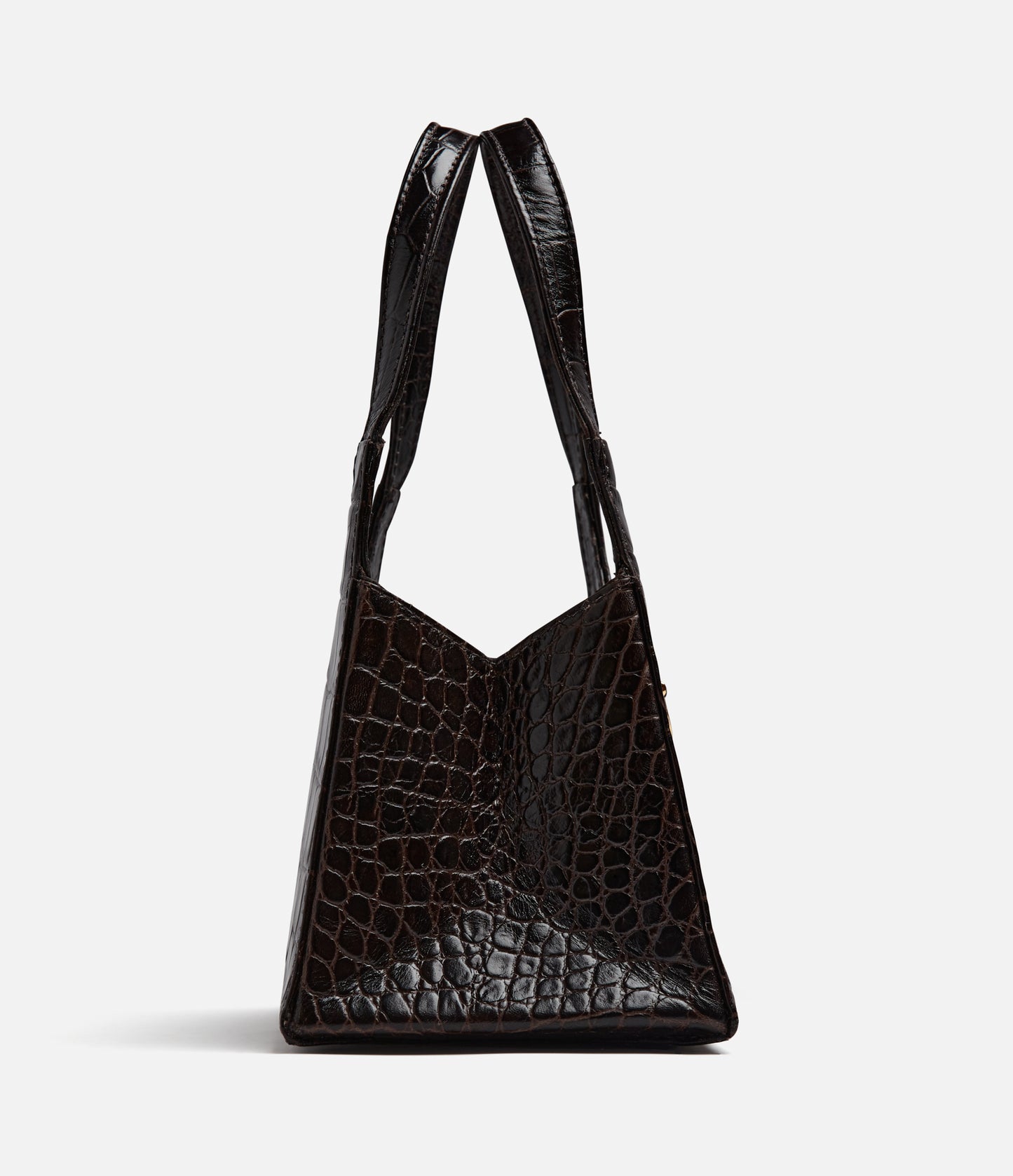 Brown Croc Embossed Leather / Gold