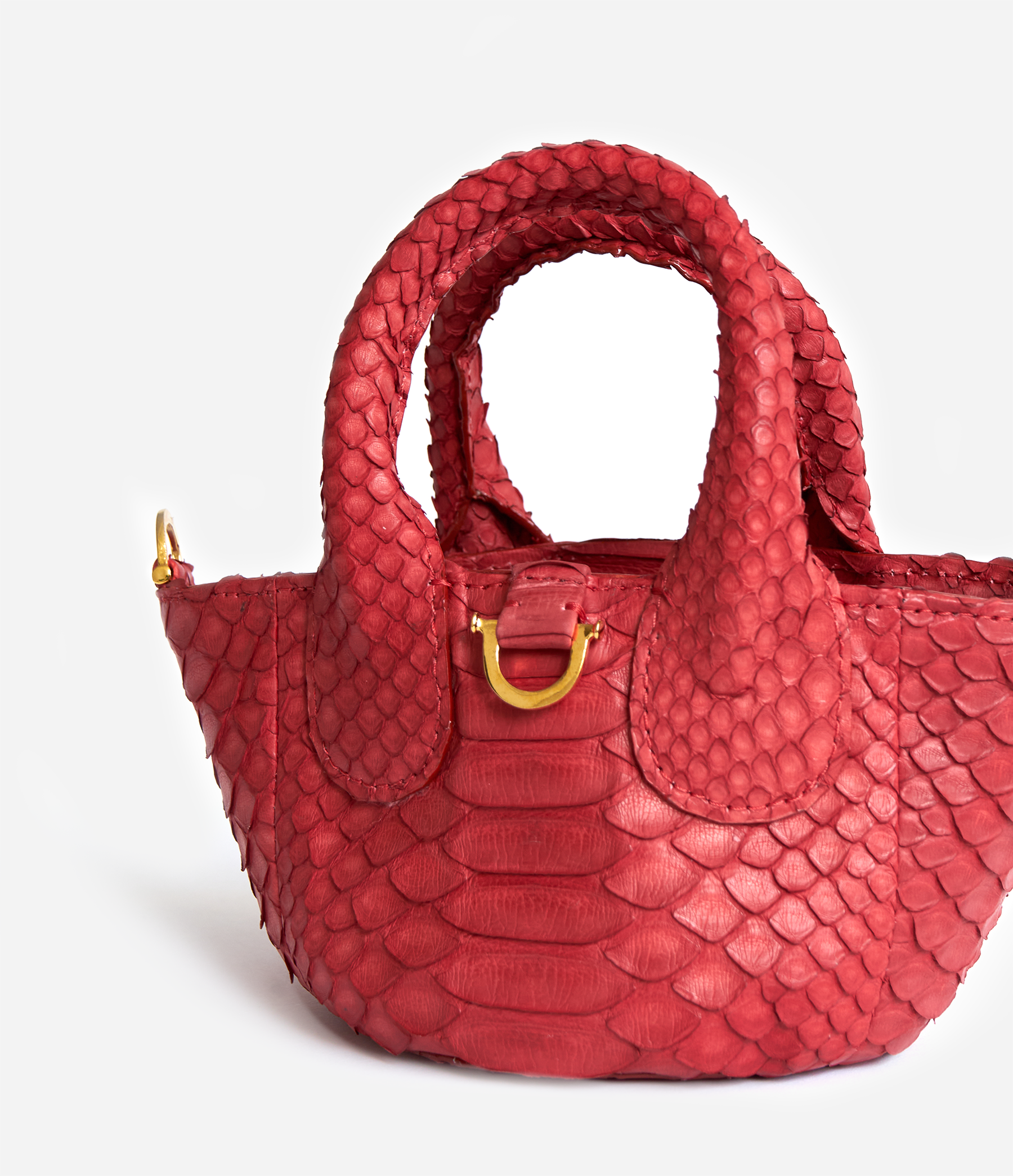 Dahlia Red Python / Gold